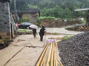 白鹤镇邮编，白鹤镇镇长