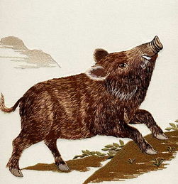 糊里糊涂是指什么生肖