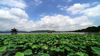 杭州入梅时间2023