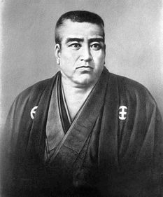 西乡隆盛睾丸多大，西乡隆盛为什么叛乱