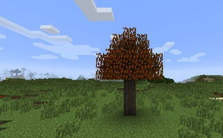 树呀树呀我把你种下不怕风雨快点长大歌词，树呀树呀我把你种下手势舞