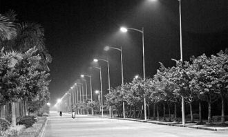 后半夜的网络解释后半夜的网络解释是什么