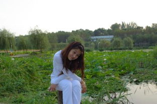 释怀是什么意思关于爱情的，慢慢释然是什么意思