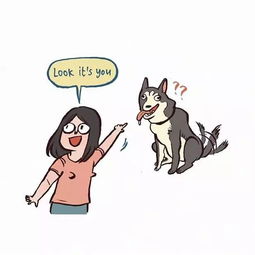 allover the world，allover the