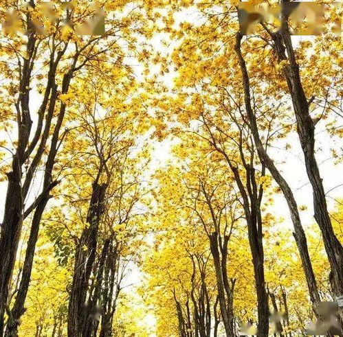 “岁月如流,人生何几” 是什么意思???