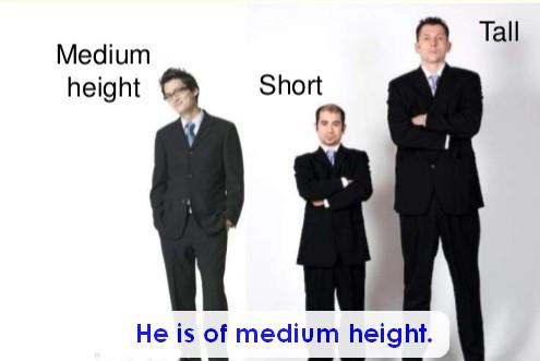 中等身材英语