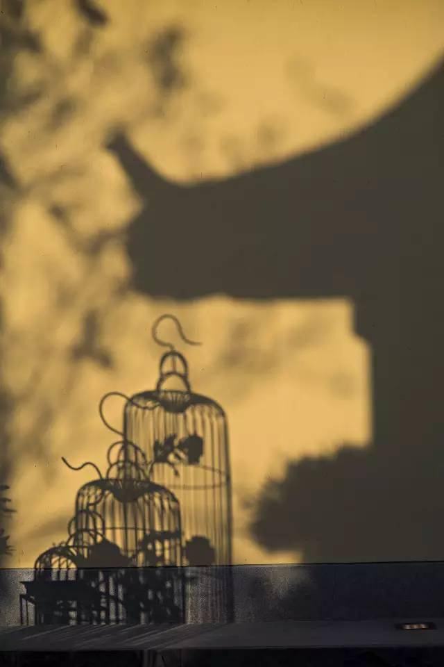 光阴什么日月什么