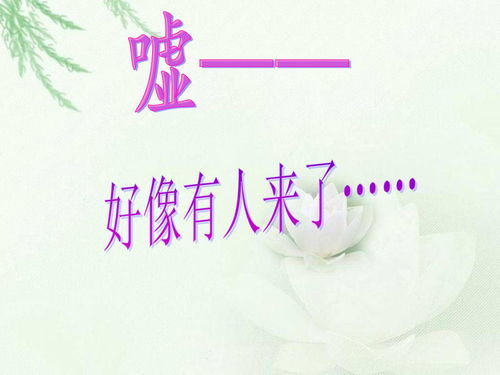 八字谚语一年级，八字谚语大全简单