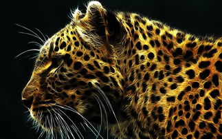 豹变by鹤望兰，豹变成文采,乘龙福自臻,赤身成富贵,事事得振新