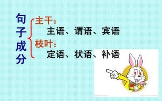 补语指的是什么