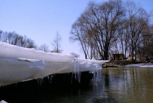 化的组词一年级，仙的组词