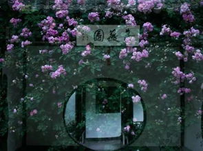 卜落卜落是什么词?