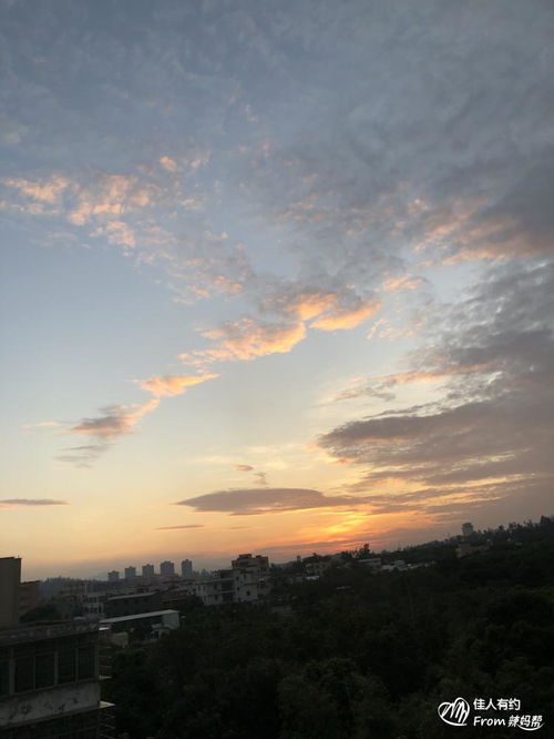 《火烧云》课文按照什么顺序写的?