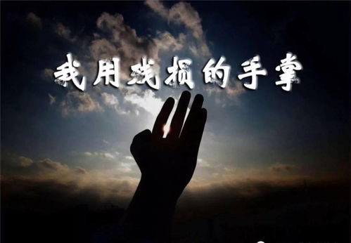 我用残损的手掌诗歌鉴赏，我用残损的手掌作者简介