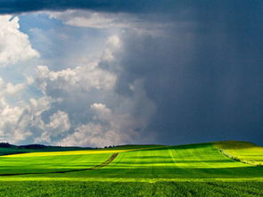 告诉我1123这天生的是射手 还是天蝎