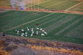 田畦是什么样子的，田畴异亩车涂异轨律令异法衣冠异制言语异声文字异形