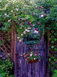 跪求我的秘密花园12003年上映的由林依晨主演的百度云资源