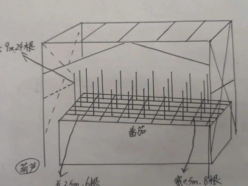 就地正法，就地正法是什么生肖
