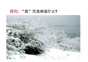 湖心亭看雪ppt课件免费，王崧舟湖心亭看雪ppt
