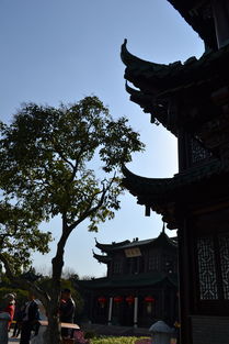 春台酒业的酒真的是纯粮酒吗