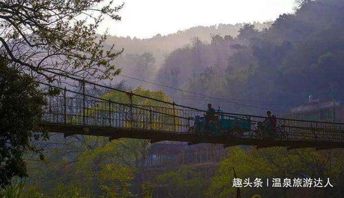 马碧波，马碧涛