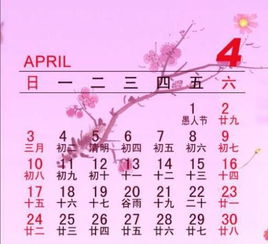 阴历二月三十几年一次