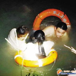 龙王爷跳海打一歇后语，龙王爷跳海回老家是什么意思