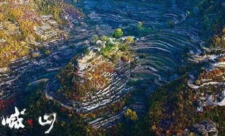 喊山红霞真实案件原型，喊山免费观看高清完整版乐视