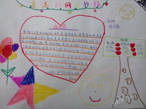 夏洛的网手抄报三年级，夏洛的网手抄报简单又漂亮字少