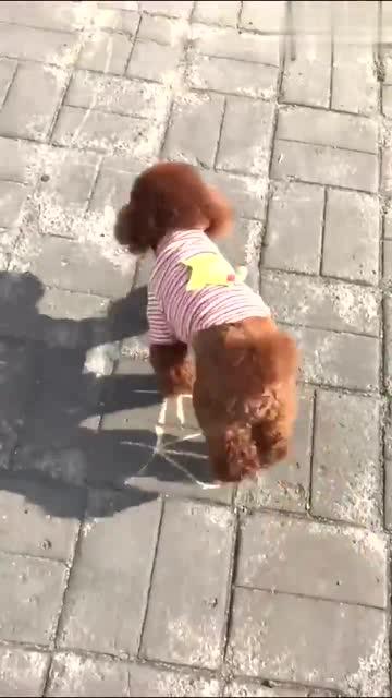 心绪是什么意思，女生说心虚是什么意思