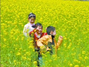 春风和煦拼音，和煦拼音怎么写