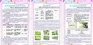 6篇科学小论文600字以上