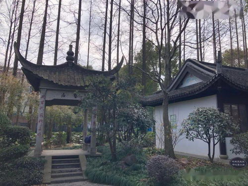 亭林园，亭林月饼