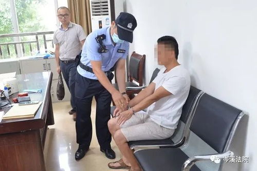 真格基金投资项目，真格式啥意思