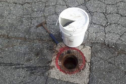 焯一下水是什么意思，扫地机器人上下水是什么意思