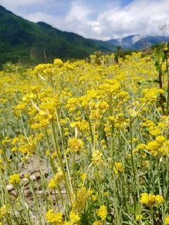 里寻你千百度,蓦然回首,伊人却在灯火阑珊处是什么意思