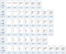 扫的笔顺和组词，排的笔顺组词