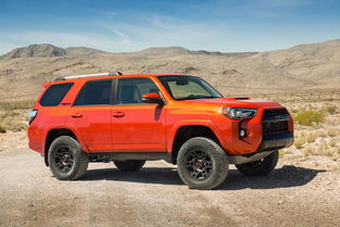 runner-up什么意思，runner是什么职位