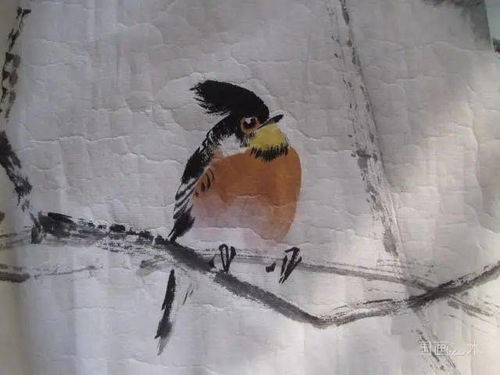 一个执一个鸟念什么