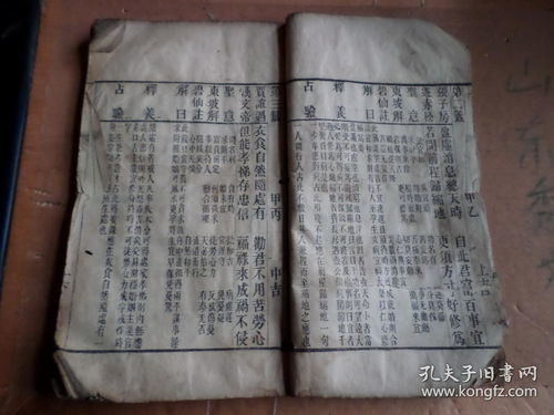 全神贯注的注什么意思