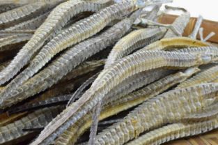 海龙有什么药用价值