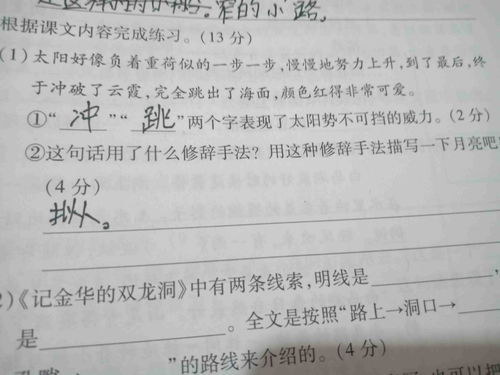 夸张的修辞手法的句子有哪些?