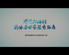 subdistrict和district有什么区别