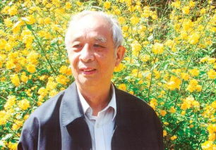 汤一介几岁写儒藏