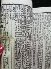 穿凿附会的拼音，穿凿附会的意思解释