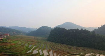 百丘田的百丘田简介