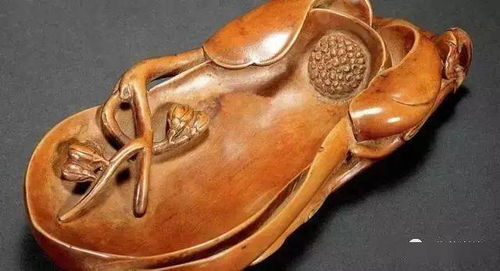 影子木樱木是什么树木?