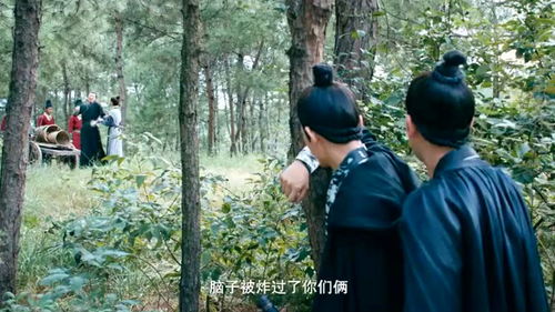 邀宠千金小说全文免费阅读，邀宠记全文免费阅读