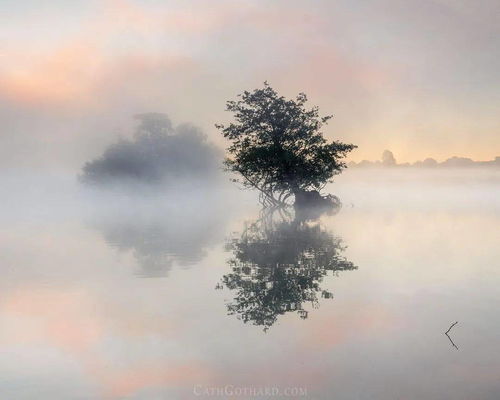 朦朦胧胧的意思