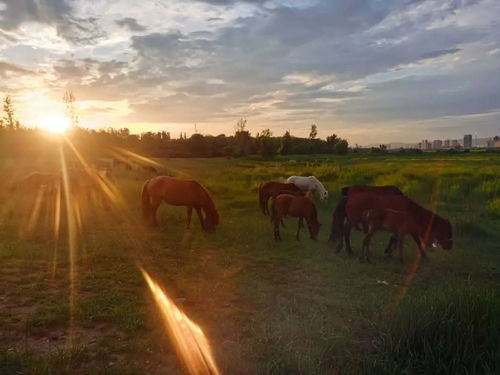 长生天与昊天是否一体